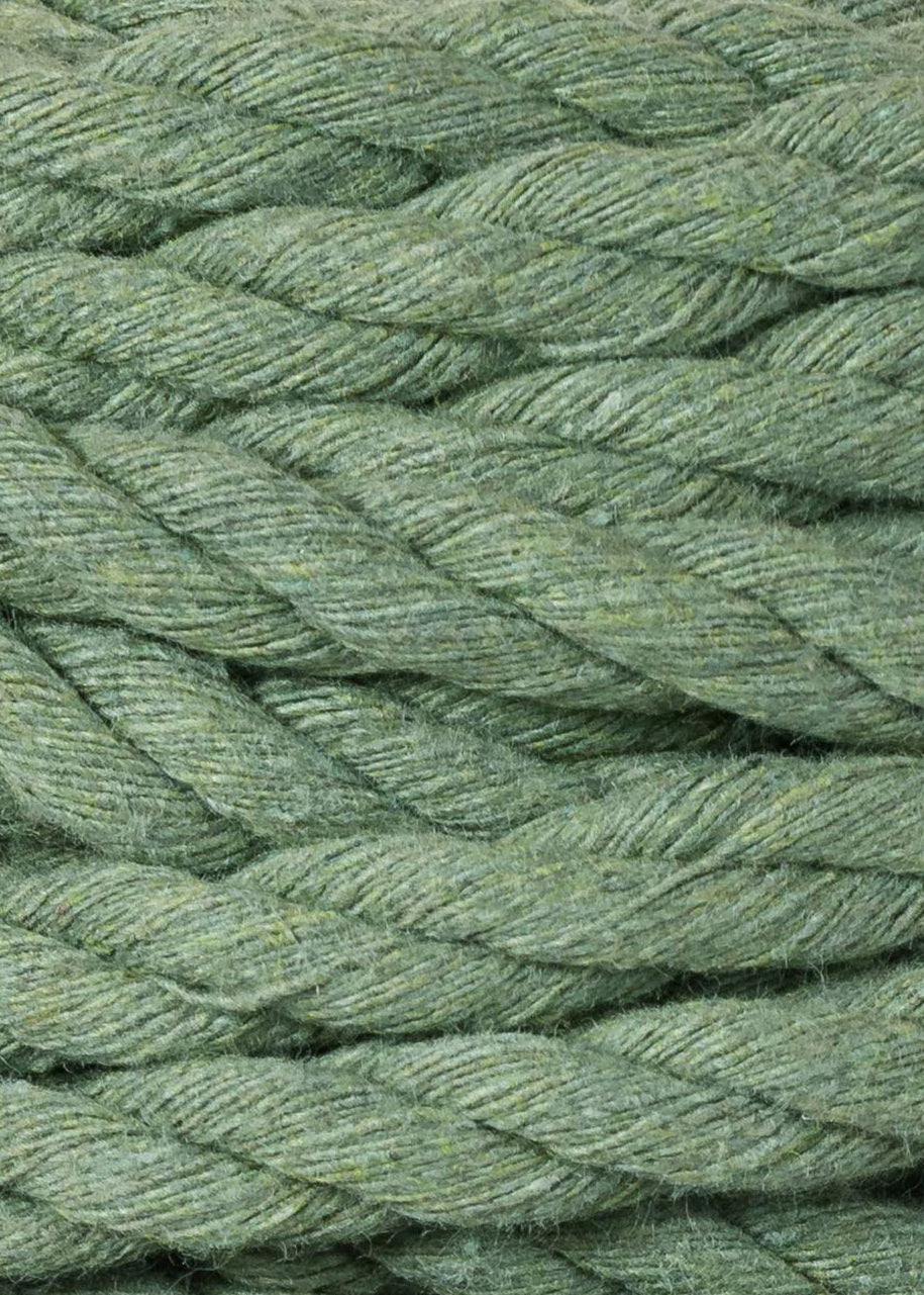 Eucalyptus Green